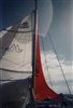 Mini Transat : plus de mat